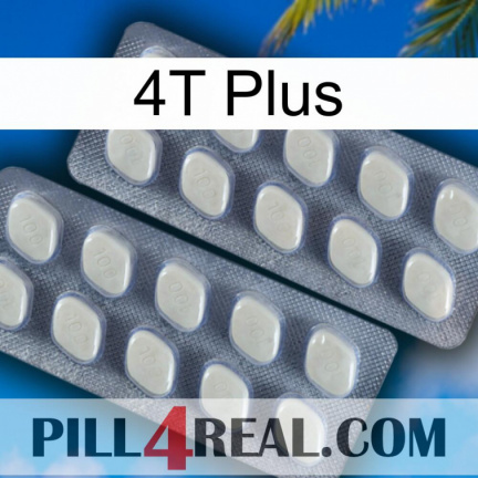 4T Plus 07
